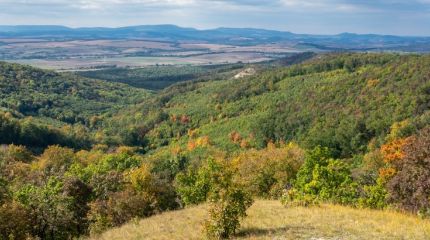 Budai tájvédelmi körzet Budajenő szomszédságában